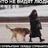 Как открывается сердце читай в описании