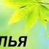 Наталья Васильчук Вечный край