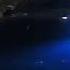 Night Lovell Dark Light Beatshoundz VOLB3X Remix