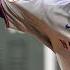 Mets Vs Red Sox 5 21 25 NY Mets Highlights
