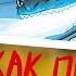 Как приручить дракона Драконья лоза 2 часть КОМИКС