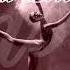 Prima Ballerina Please Love Me Extended Vocal Retro Mix