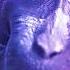 Monkey Rizz Meme Edit NBSPLV Lost Soul Down Rizz Monkey Memes Edit Fyp