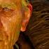 The Witcher 3 Wild Hunt Walkthrough Part 36 Secondary Quest Forefathers Eve PS4 PC Xbox One