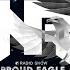 Nelver Proud Eagle Radio Show 421 Pirate Station Radio 22 06 2022 Drum Bass