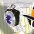 Hitman Reborn Drawing Days Opening Version Cover Video