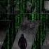 Head Splitter The Matrix