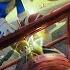 Thank You Intro With The Cast Paramount Pictures Sega Original Film Sonic The Hedgehog 2 Variant