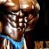 Flat Barbell Press Bodybuilding Fitness Training Workouts