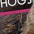 Fun Facts About Groundhogs Groundhog Day SciShow Kids