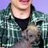 Jaxon Is The Sweetest Puppy Puppies Reaction Cute Animals Dog Shorts