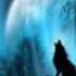 ITALO4EVER Prayer Of The Wolf