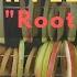 How To Make Sweet N Spicy Dried Apple Rings By Rakesh Rootsman Rak