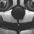 FNAF SISTER LOCATION SONG Forced To Be Lyric Video
