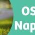 Cloth Nappy Fit Guide OSFM Velcro Nappies