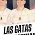 Si Las Gatas Se Amotinan Baile Dance Dancer Rodrymx Tiktok Musica Dancevideo Reggaeton