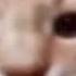 Cat Evil Laugh