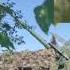 FIRING AN NORTH KOREAN SUPPLIED 170MM M1978 KOKSAN SELF PROPELLED ARTILLERY SYSTEM 2025
