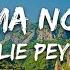 Willie Peyote Grazie Ma No Grazie Sanremo 2025 Testo Lyrics