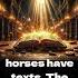 Revelation 9 17 Decoded The Significance Of Fiery Red Hyacinth Blue And Sulfur Yellow Biblestudy