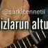 Gecenin Bir Vaktinde