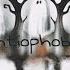 Antiophobia