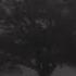 Tom Odell Another Love Instrumental â 1 Hour Loop Slowed Reverb