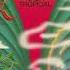 Glue Trip Gergelim Feat Felipe S Official Audio