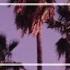 Satin Jackets Tailor Somewhere In Paradise