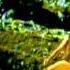 Mujhe Rabb Se Full Song Ab Ke Baras