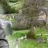 The Tragic Death Of Kick Kennedy At Her Grave In Edensor Derbyshire England