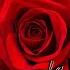 La Vie En Rose DJ Antoine Vs Mad Mark 2k17 Extended Mix