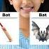 Confusing Homophones In English Improve English Vocabulary Avoid Spelling Mistakes