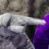 Finger Painter Trolling Cloud S Gorilla Horror
