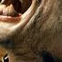 The First Werewolf Transformation The Wolfman 2010