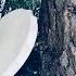 Shamanic Drum In The Winter Forest Sound Check Checking The Sound Of A Tambourine