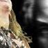 The Great Kat Beethoven S 5th Symphony Official Video