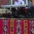 Ramona Iliesi Fratii Dragan Live 1 Ruga Chizatau 2010