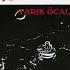Tarık Öcal Gel Ey Denizin Nazlı Kızı Official Audio Esen Müzik