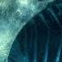 What If Humans Killed All The Sharks