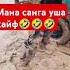 Мана санга уша кайф 2025 2024 Automobile Tiktok Rek Qashqirlarmakonipistirma