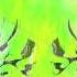 Michael Jay Parker Jan Miller Shinowata Paul Webster Remix Garuda