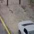 Driver Leads Police On High Speed Chase In Los Angeles Ends In Standoff
