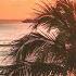 Relaxing Background Music Chill Calm Relaxing