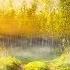 Soothing Celtic Music Elven Light Woods Relaxing Sleep Peaceful 129