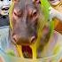 Squid Game AI Edible Slime ASMR Squidgame Squidgame2 Ai Asmr