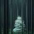 The Forest Deep Dark Bass Dubstep Mix