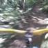 Sumas Mountain Squid Line