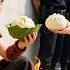 Boy Survived By Eating Leaves Saved By Heiress 20 Years Ago Returns As Miracle Doctor To Repay Her