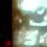 Agora Thomas Gold Steve Anegllo SPACE MIAMI FL 11 27 2010